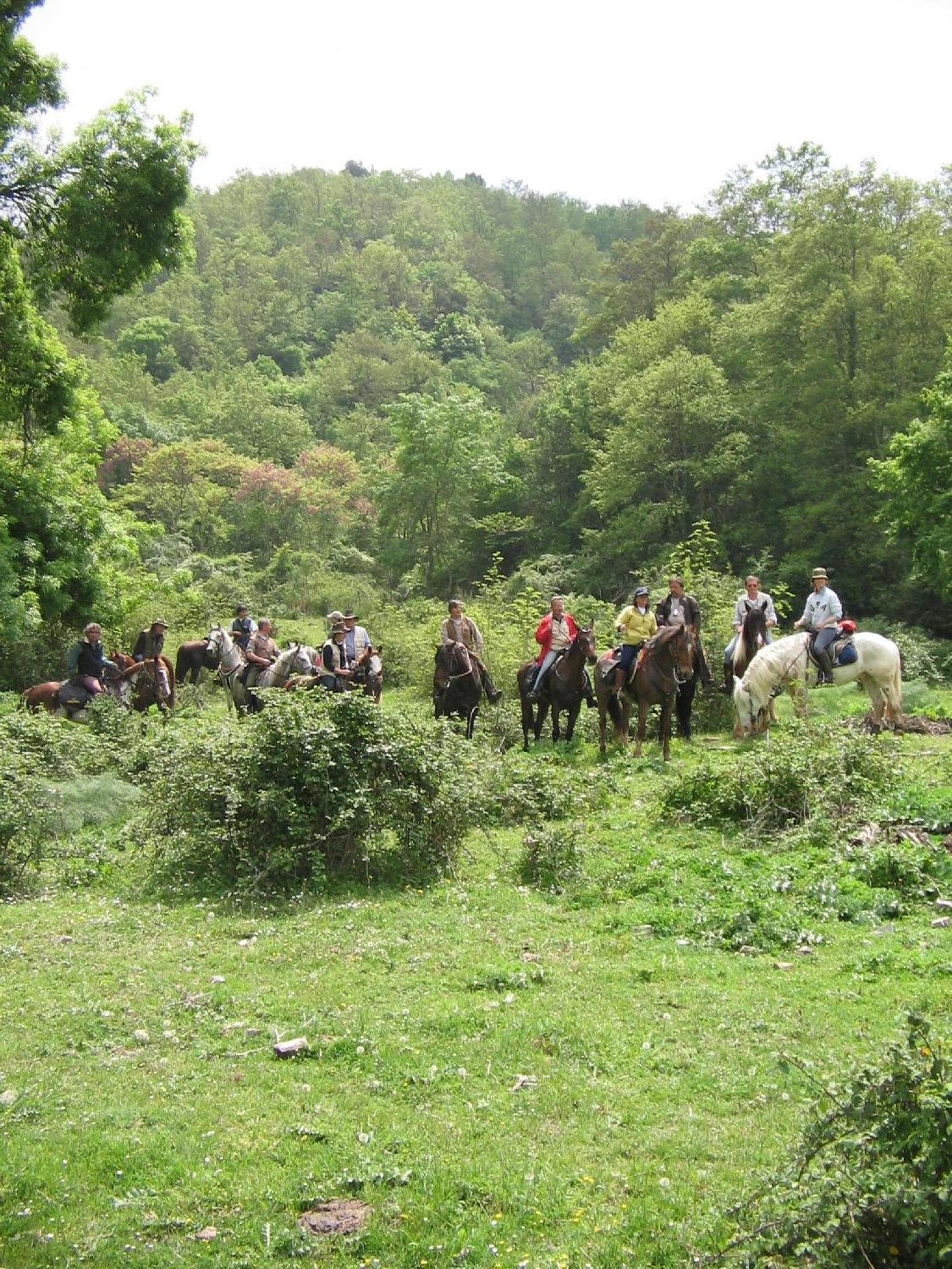 Agriturismo Casale Bonaparte Cellere Екстер'єр фото
