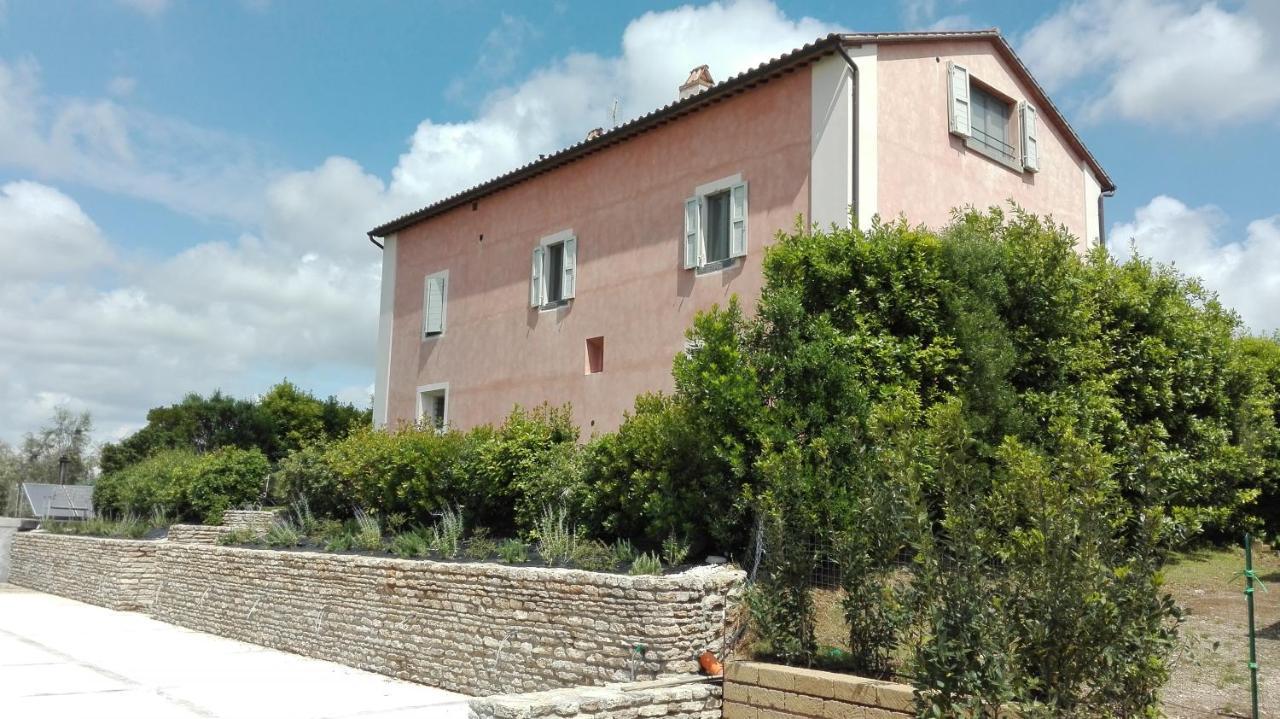 Agriturismo Casale Bonaparte Cellere Екстер'єр фото