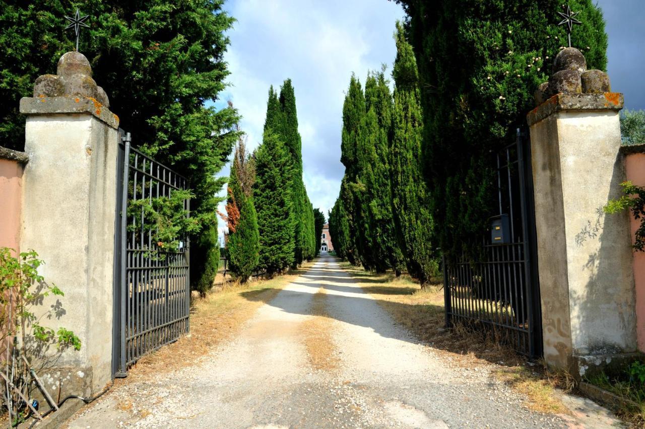 Agriturismo Casale Bonaparte Cellere Екстер'єр фото